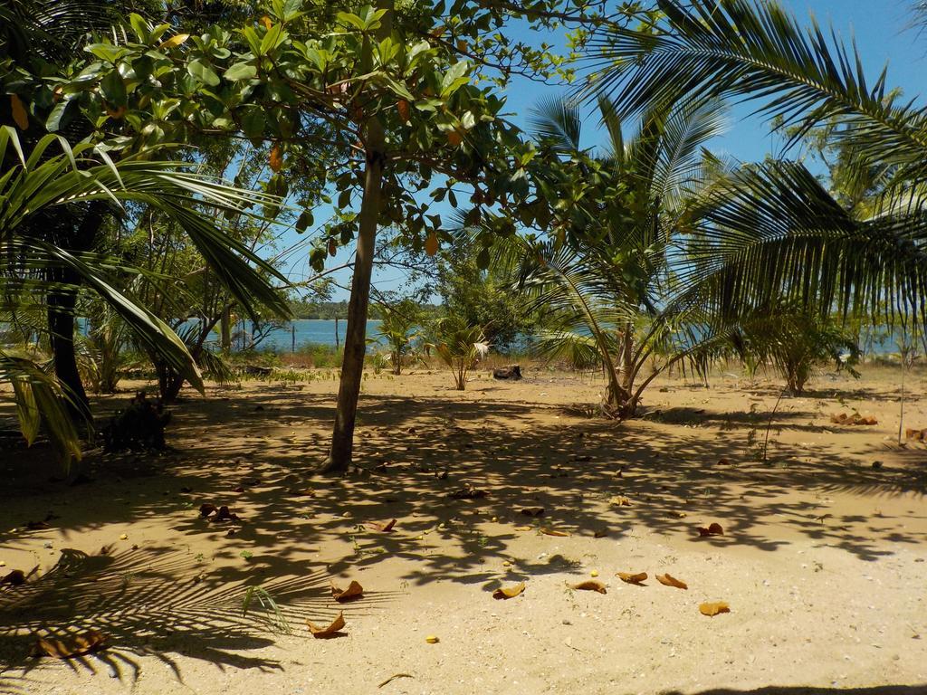 Отель Reef Pasikudah Nachivantivu Экстерьер фото